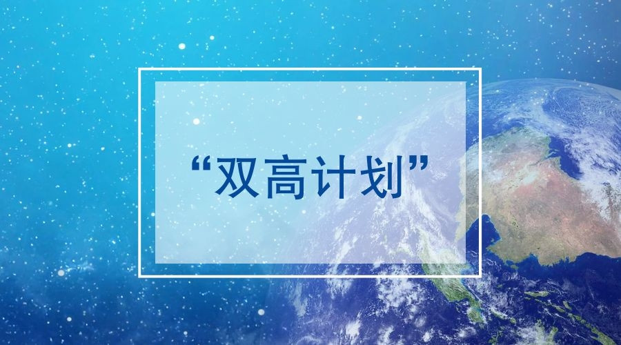 以国际化视野和行动推进“双高计划”