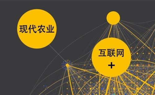 【电子商务】网购“刷”出消费新感觉电子商务向农村地区扩张