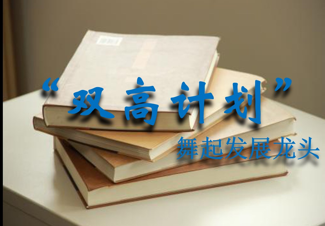 实施“双高计划” 舞起发展龙头